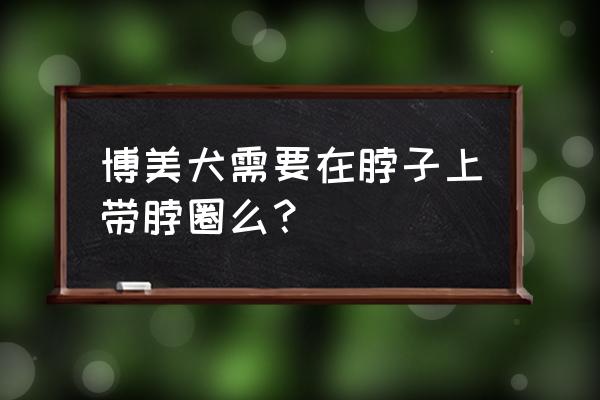 博美脖子伸不直是怎么了 博美犬需要在脖子上带脖圈么？