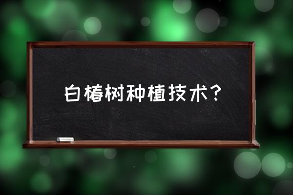 香椿树冬季修剪方法 白椿树种植技术？