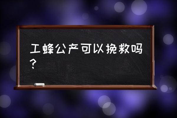 工蜂怎么判断是否工产 工蜂公产可以挽救吗？