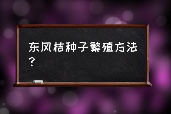 东风桔用什么土栽种好 东风桔种子繁殖方法？