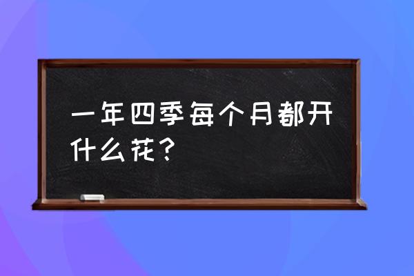 珠兰和米兰哪个花期长一些 一年四季每个月都开什么花？