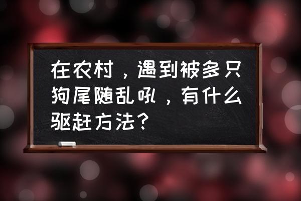 怎么防止不被狗攻击 在农村，遇到被多只狗尾随乱吼，有什么驱赶方法？