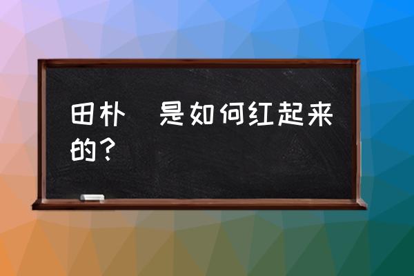 哈利波特进入其他礼堂晚宴的方法 田朴珺是如何红起来的？