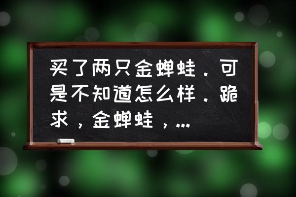 蛙的饲养方法和技巧 买了两只金蝉蛙。可是不知道怎么样。跪求，金蝉蛙，饲养方法？