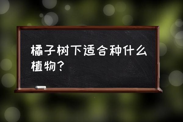 种柑橘增加收益的十条建议 橘子树下适合种什么植物？