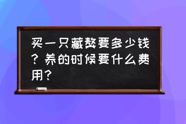 刚出生藏獒体温多少正常 买一只藏獒要多少钱？养的时候要什么费用？