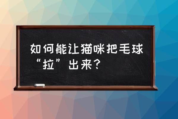 如何帮助猫猫吐出毛球 如何能让猫咪把毛球“拉”出来？