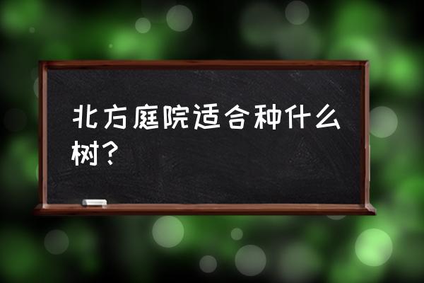 黑加仑扦插苗在第一年可以结果吗 北方庭院适合种什么树？