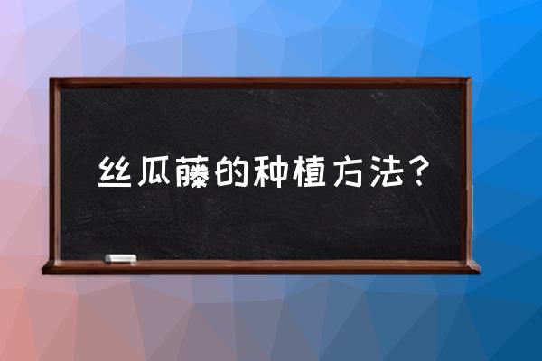 怎么种丝瓜小妙招 丝瓜藤的种植方法？