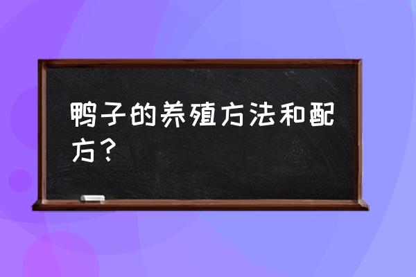 预防鸭瘟的最佳方法 鸭子的养殖方法和配方？