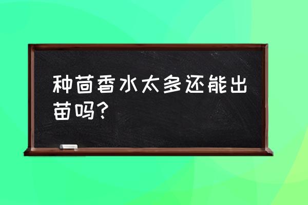 种茴香种子怎么才长得好 种茴香水太多还能出苗吗？