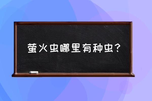 萤火虫出现的时间和环境 萤火虫哪里有种虫？