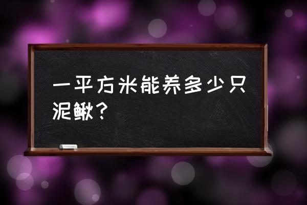 小池塘养泥鳅最佳方法 一平方米能养多少只泥鳅？