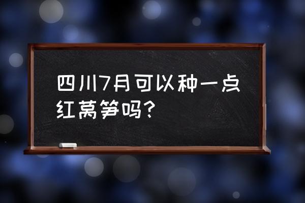 大莴苣种植时间和方法 四川7月可以种一点红莴笋吗？