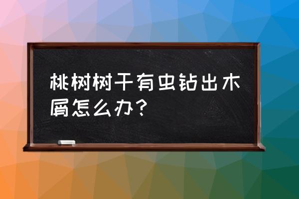 桃树结果的时候有虫子打什么药 桃树树干有虫钻出木屑怎么办？