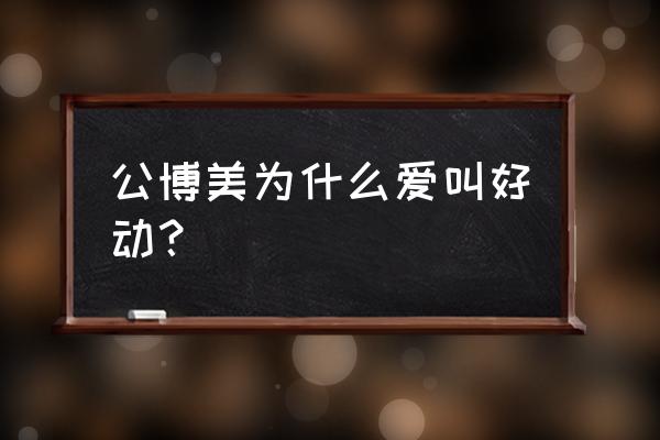 博美犬一般几个月才可以训练 公博美为什么爱叫好动？