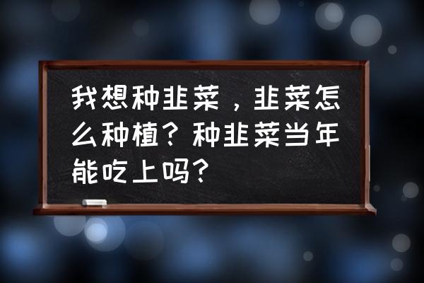 自己家里盆栽菜多久能吃 我想种韭菜，韭菜怎么种植？种韭菜当年能吃上吗？