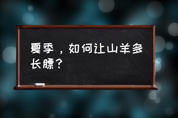 喂养羊怎么样才能长膘 夏季，如何让山羊多长膘？