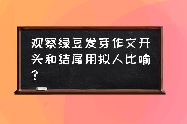 种豆芽观察日记400字分两段 观察绿豆发芽作文开头和结尾用拟人比喻？