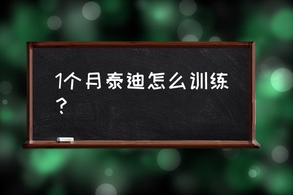 泰迪服从性训练方法 1个月泰迪怎么训练？