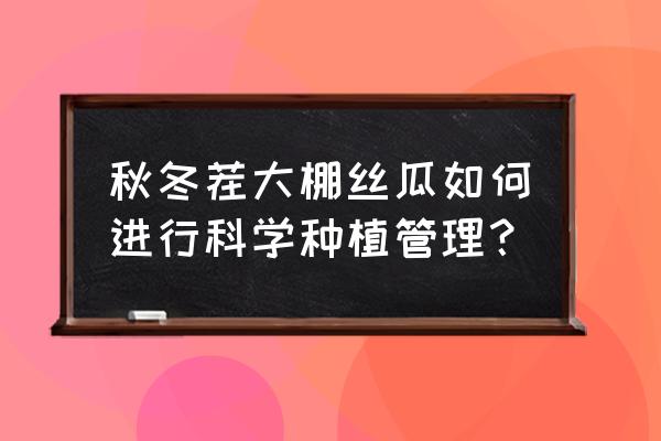 丝瓜怎么样保存到冬天能吃 秋冬茬大棚丝瓜如何进行科学种植管理？