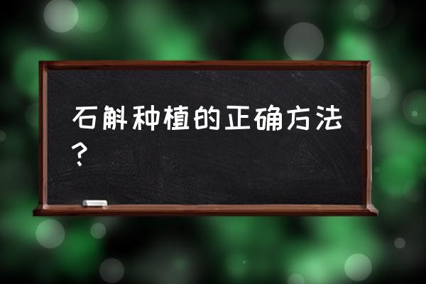 如何自己在家种石斛 石斛种植的正确方法？