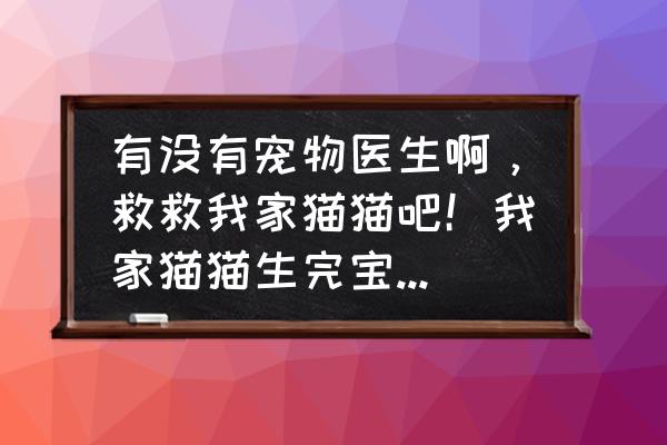 母猫奶涨怎么消除 有没有宠物医生啊，救救我家猫猫吧！我家猫猫生完宝宝第四天还是只喝水不吃东西怎么办？