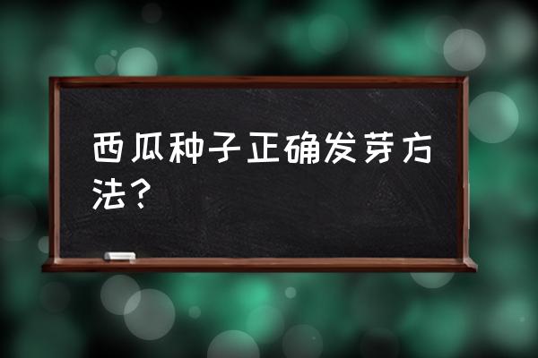 西瓜种子催芽最好方法 西瓜种子正确发芽方法？