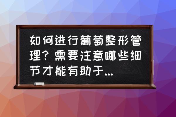 夏黑葡萄第一年怎么留枝 如何进行葡萄整形管理？需要注意哪些细节才能有助于提高产量？