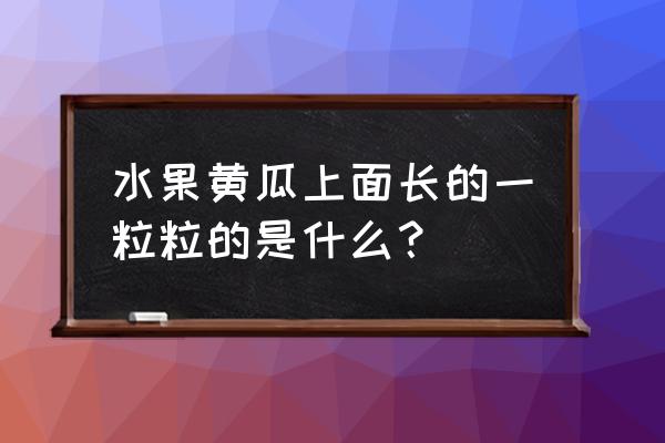 黄瓜叶子上有白斑怎么办呢 水果黄瓜上面长的一粒粒的是什么？