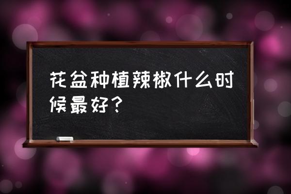 辣椒要什么盆栽好吃又简单 花盆种植辣椒什么时候最好？