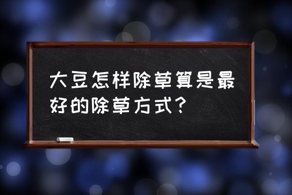 黄豆怎样除草最快 大豆怎样除草算是最好的除草方式？