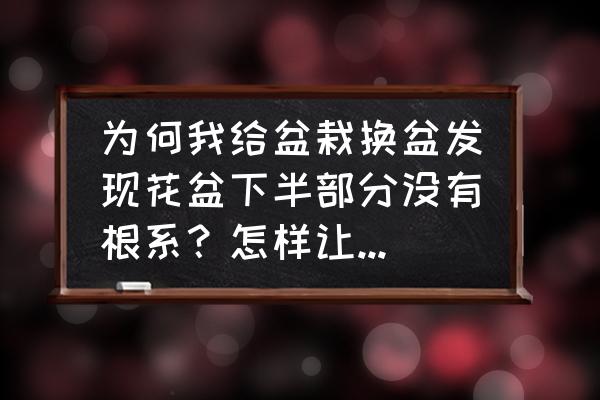 如何让植物根系发达 为何我给盆栽换盆发现花盆下半部分没有根系？怎样让根系扎满盆底？