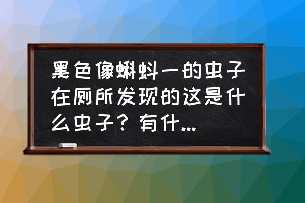 消灭米象虫最简单方法 黑色像蝌蚪一的虫子在厕所发现的这是什么虫子？有什么害处怎么去除？