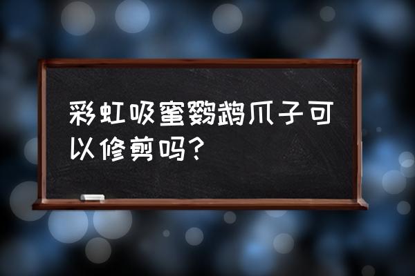 鸡蛋花太高了能修剪吗 彩虹吸蜜鹦鹉爪子可以修剪吗？