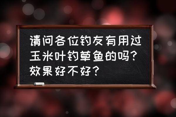 玉米叶可以煲汤吗 请问各位钓友有用过玉米叶钓草鱼的吗？效果好不好？