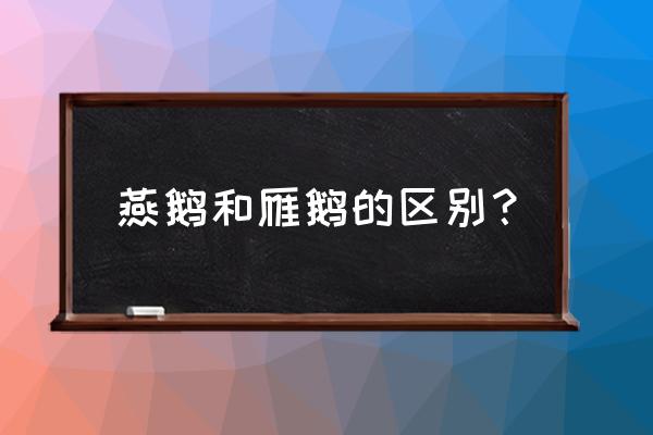 雁鹅比大鹅为啥便宜 燕鹅和雁鹅的区别？