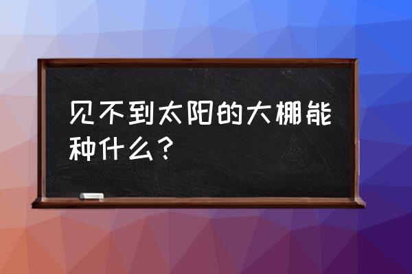 多多农场怎么建造大棚 见不到太阳的大棚能种什么？