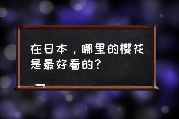 日本十大看樱花的地方 在日本，哪里的樱花是最好看的？