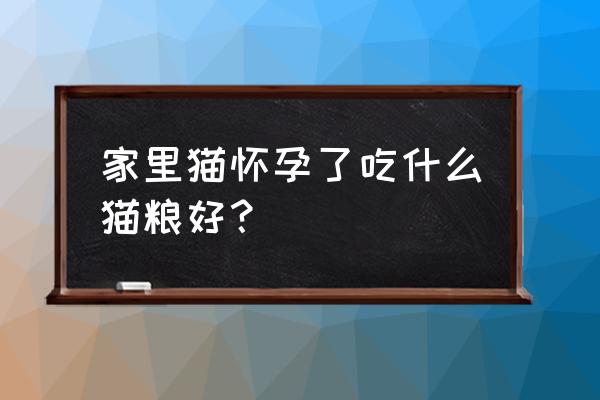 孕期肥胖综合征吃什么食物好 家里猫怀孕了吃什么猫粮好？