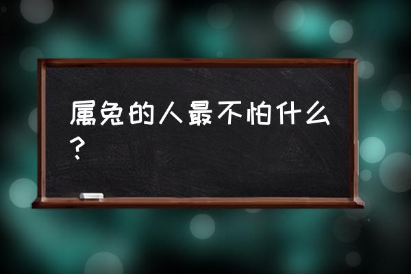 养宠物兔的基本知识 属兔的人最不怕什么？