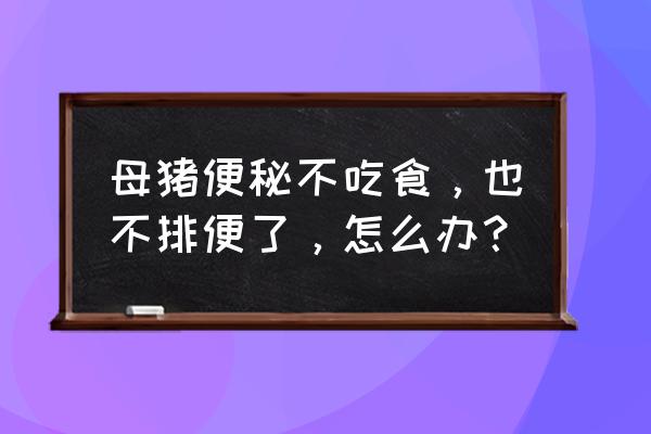 母猪长期便秘是什么原因 母猪便秘不吃食，也不排便了，怎么办？