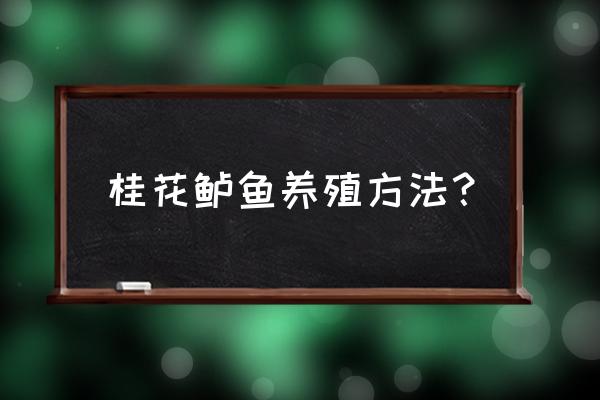 桂花鱼养殖一亩放多少苗 桂花鲈鱼养殖方法？