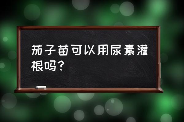 茄子苗期冲什么肥料最好 茄子苗可以用尿素灌根吗？