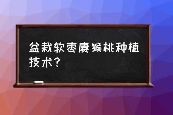 软枣猕猴桃的保果方法 盆栽软枣猕猴桃种植技术？