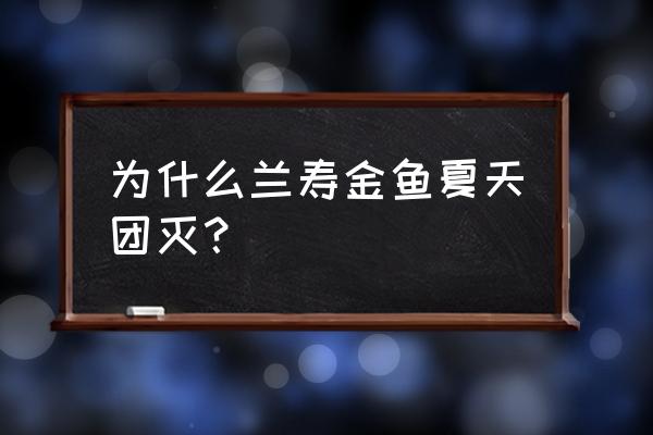 为什么鱼池的硝化系统很容易崩溃 为什么兰寿金鱼夏天团灭？