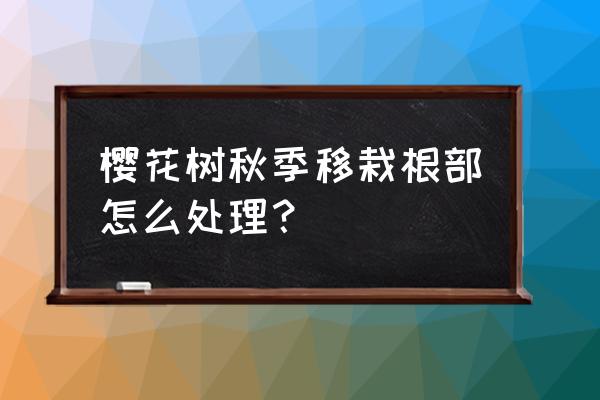 刚上盆的樱花怎样养护 樱花树秋季移栽根部怎么处理？