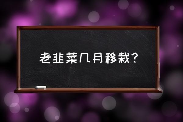 韭菜重茬怎么解决 老韭菜几月移栽？