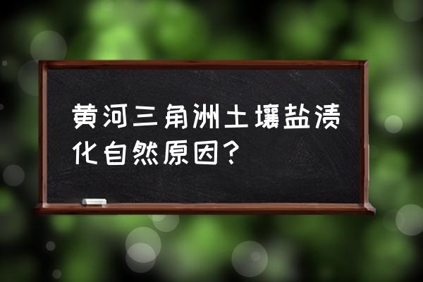 土壤盐碱化的原因及治理措施 黄河三角洲土壤盐渍化自然原因？