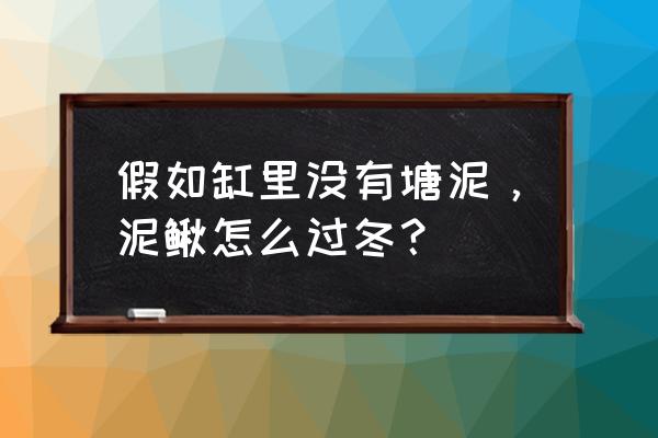 大棚泥鳅养殖最新方法 假如缸里没有塘泥，泥鳅怎么过冬？